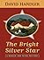The Bright Silver Star (Berger and Mitry, #3)