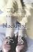 Blackbird: A Childhood Lost and Found