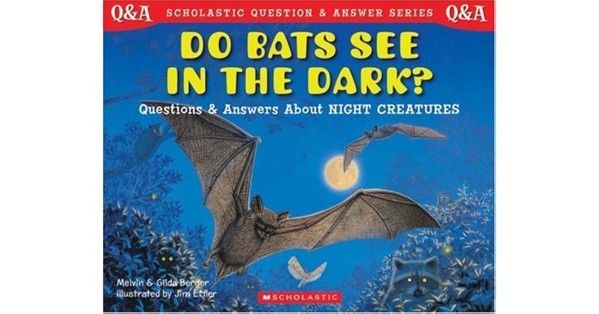 How Do Bats See in the Dark? Questions and Answers about Night