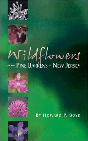 Wildflowers of the Pine Barrens of New Jersey (Paperback)