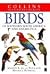 Birds of Southern South Ame...