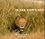 In the Lion's Den by Mitsuaki Iwago