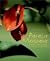 Paraiso Mexicano: Gardens, ...