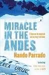 Miracle in the An...