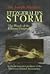 Fitzgerald's Storm by Joseph MacInnis