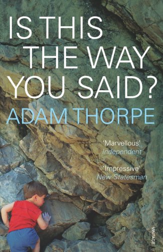 Is This The Way You Said? (Paperback)
