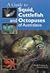 A Guide to Squid, Cuttlefish and Octopuses of Australasia by Amanda Reid