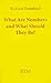 What Are Numbers and What S...