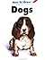 How to Draw Dogs