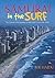 Samurai In The Surf: The Ar...