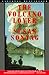 The Volcano Lover by Susan Sontag