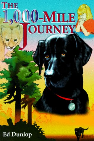 The 1,000-Mile Journey: The Story of a Brave Labrador, an Incredible Journey and a Little Girl's Fai (Paperback)