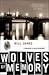 Wolves of Memory (Harpur & Iles, # 22)
