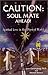Caution Soul Mate Ahead! : Spiritual Love in the Physical World