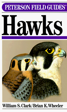 A Field Guide to Hawks (Paperback)