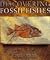 Discovering Fossil Fishes (Henry Holt Reference Book)