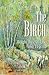 The Birch: Bright Tree of Life and Legend