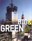 Big and Green: Sustainable Skyscrapers for the Twenty-First Century (Hardcover)