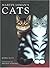 Martin Leman's Cats by Robin Dutt