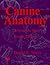 Canine Anatomy: A Systematic Study