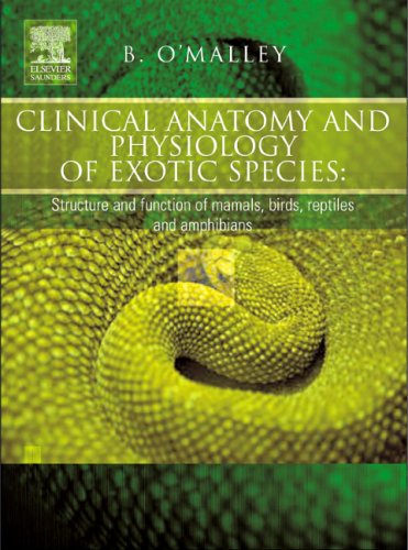 Clinical Anatomy and Physiology of Exotic Species: Structure and function of mammals, birds, reptiles and amphibians (Hardcover)