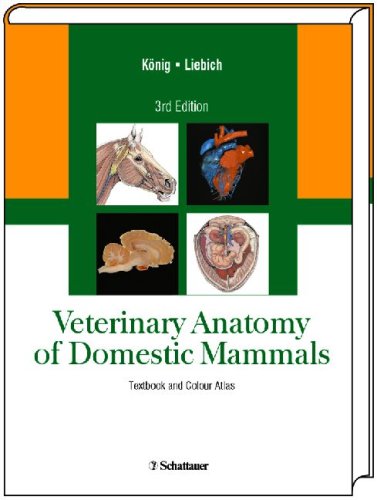 Veterinary Anatomy of Domestic Mammals: Textbook and Colour Atlas (Hardcover)