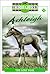 The Lost Foal (Thoroughbred: Ashleigh, #8)