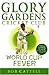 World Cup Fever by Bob Cattell