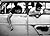 The Age Of Adolescence: Jos...