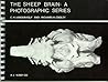 The Sheep Brain: A Photographic Series