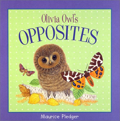Olivia Owl's Opposites (Board book)