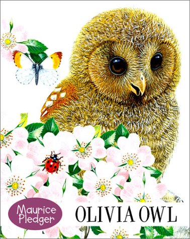 Olivia Owl (Board book)