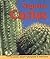 Saguaro Cactus (Early Bird ...
