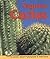 Saguaro Cactus (Early Bird Nature Books)
