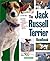 The Jack Russell Terrier Handbook by D. Caroline Coile