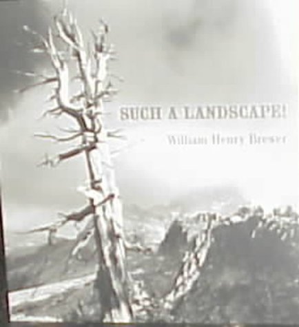 Such a Landscape!: A Narrative of the 1864 California Geological Survey Exploration of Yosemite, Sequoia & Kings Canyon from the Diary, Field Notes, Letters & Reports of (Paperback)