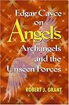 Are We Listening to the Angels?: The Next Step in Understanding the Angels in Our Lives