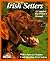 Irish Setters: Everything About Purchase, Care, Nutrition, Breeding, Behavior, and Training