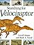 Searching for Velociraptor