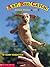 Arf! Beg! Catch!: Dogs from A to Z