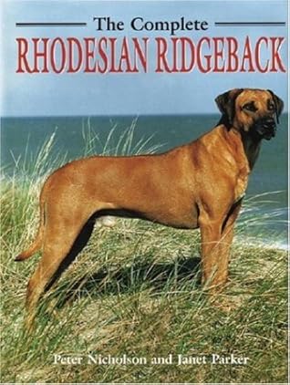 chocolate goldendoodle puppies