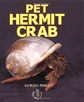 Pet Hermit Crab