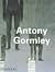 Antony Gormley by John Hutchinson