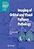 Imaging of Orbital and Visual Pathway Pathology (Medical Radiology)