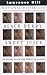 Black Berry, Sweet Juice by Lawrence Hill