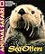 Sea Otters (Animal Safari)