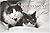 Catrimony: The Feline Guide...