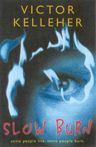 Slow Burn (Paperback)