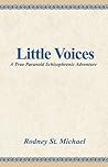 Little Voices : A True Paranoid Schizophrenic Adventure