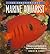 The Conscientious Marine Aquarist: A Commonsense Handbook for Successful Saltwater Hobbyists